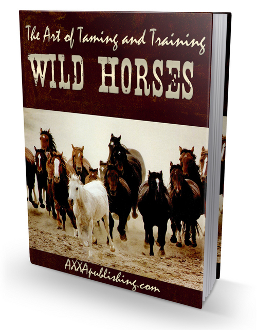 Product picture wild Horses 