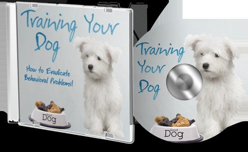 Product picture Training Your Dog Ebook And Audio (mrr)